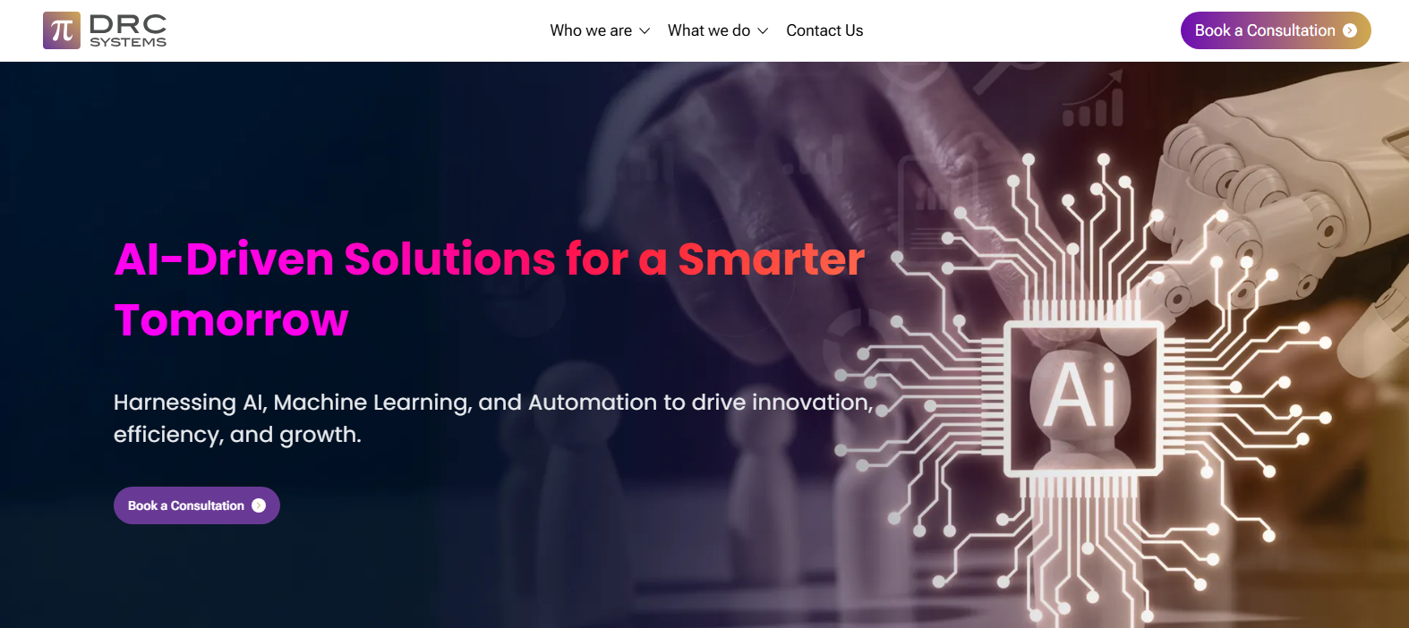 DRC Systems India Limited
